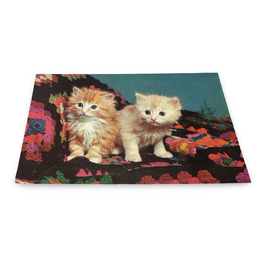 Plastichrome‎ Sisters Kittens Postcard Unused Color by Knight 60s Vintage P12383